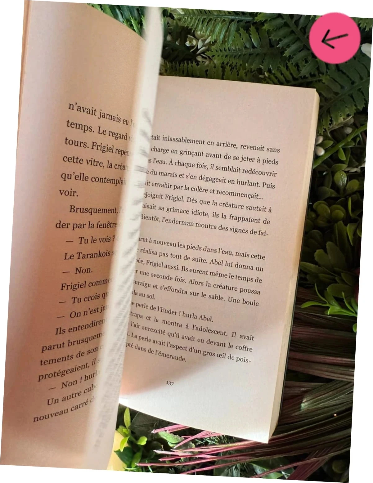 Frigiel book and fluffy the return of the Ender dragon – photo 3
